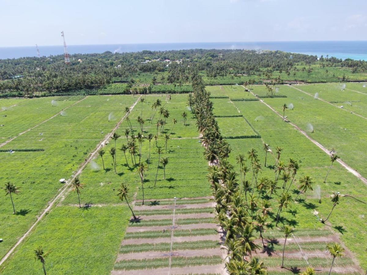 Thila Farm View Hotel Thoddoo Kültér fotó