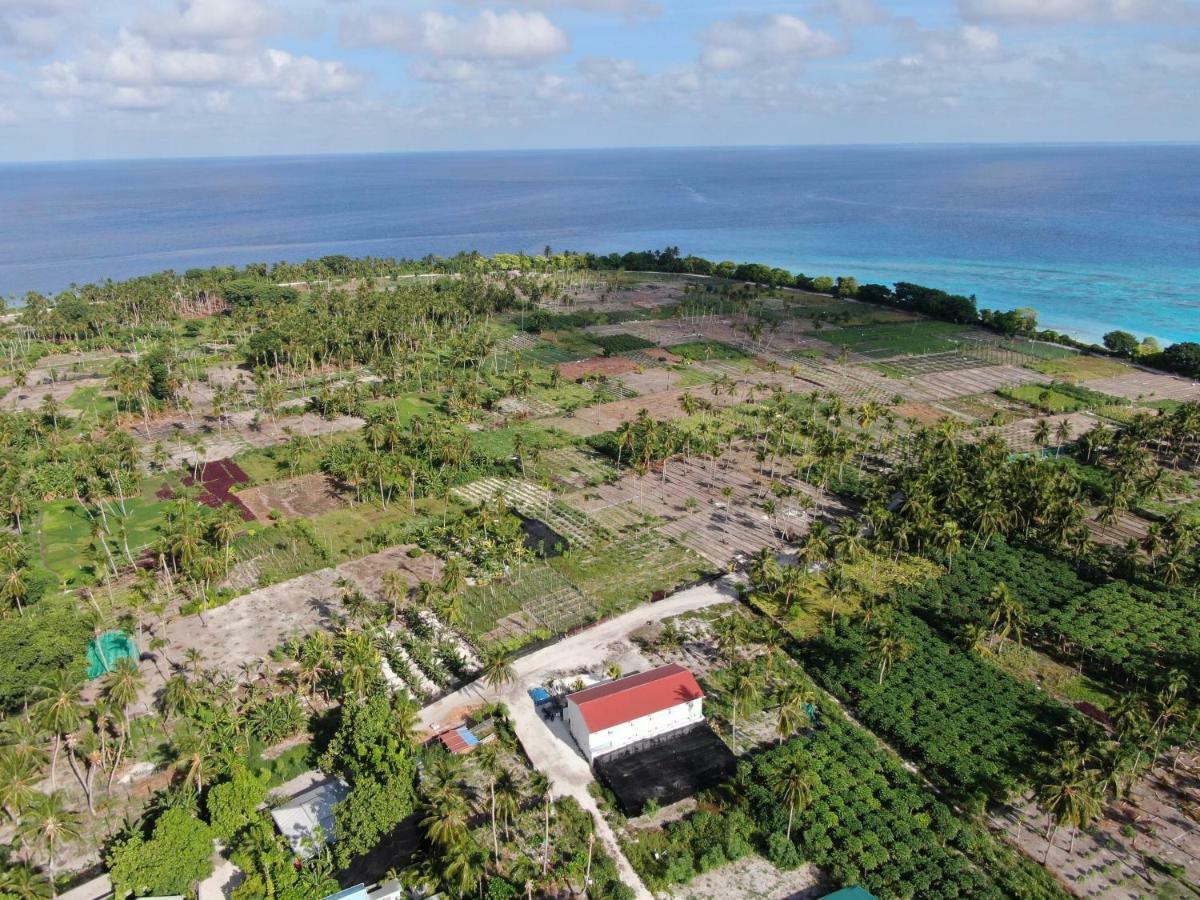 Thila Farm View Hotel Thoddoo Kültér fotó